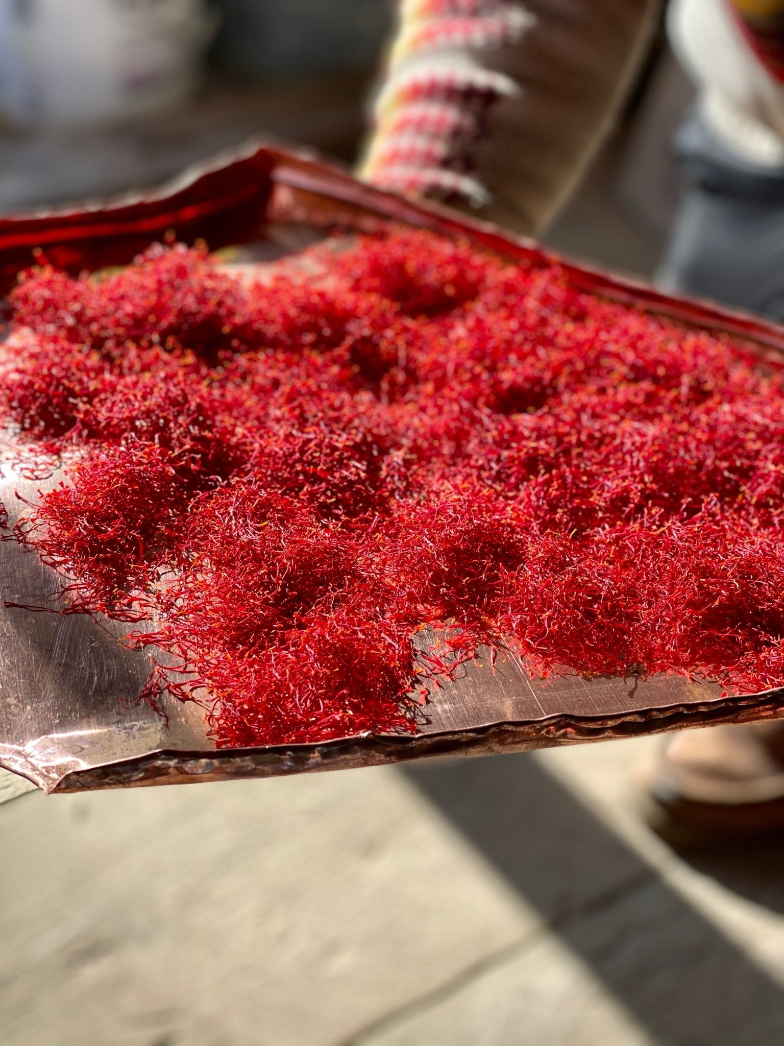 Saffron drying in Vermont- Lemonfair Saffron Co.